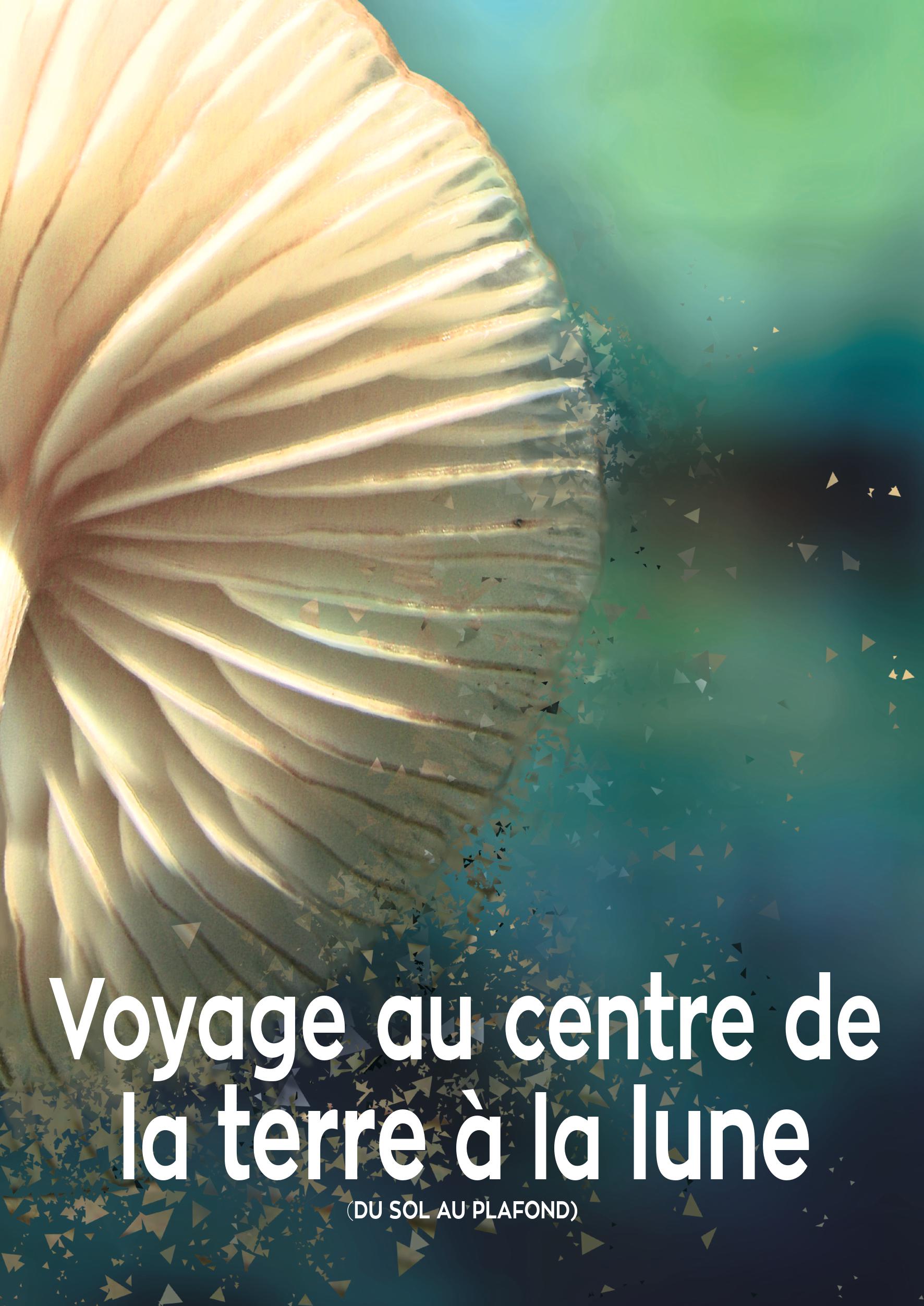 Voyage au Centre de la Terre à la Lune (du sol au plafond !)